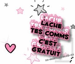 Laissez des com's sur mon blog ! 