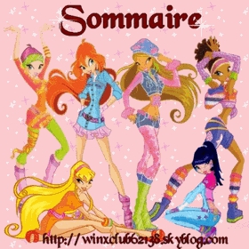 Sommaire :