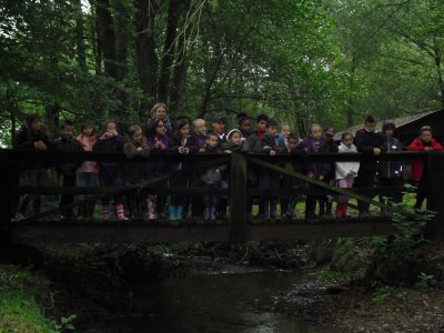 Biotope du ruisseau