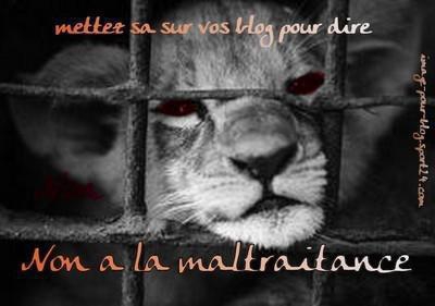 contre la maltraintance