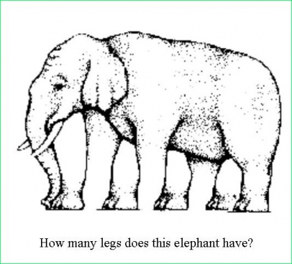 combien y a t-il de patte cet lphant?