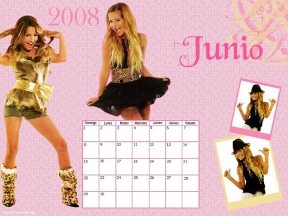 calendrier 2008