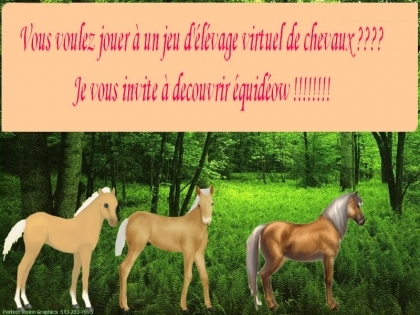 je connais po le site mais j adore les chevaux