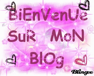 bienvenue sur mon blog