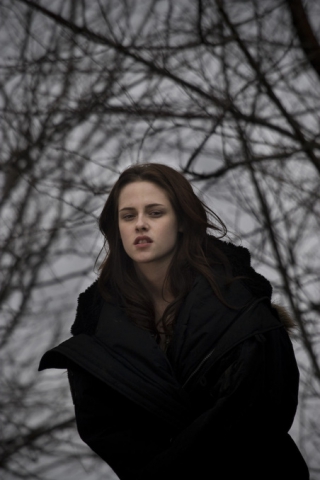 Bella  Twilight - photo 3