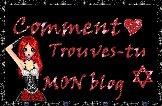 Comment trouvez mon blog?