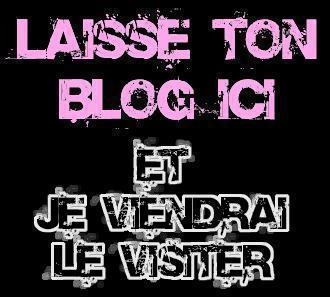 ton blog est ici