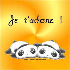 je t adore