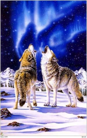 Loups 