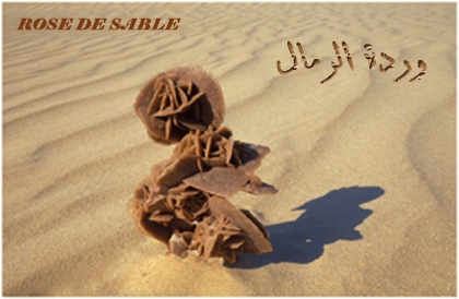 rose de sable 