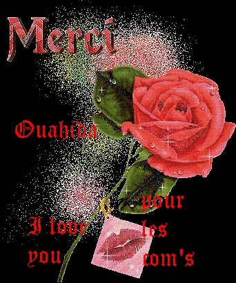 merci ouahida