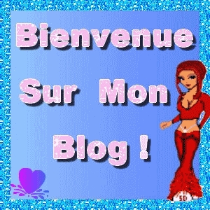 Bienvenue sur mon blog 