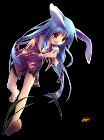 Manga lapin