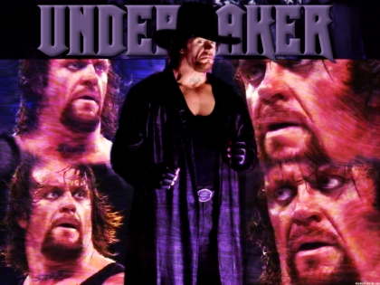 the undertaker