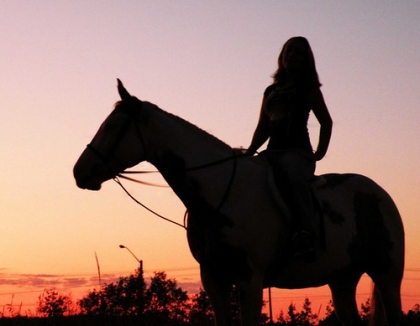 cheval et moi dans un coucher de soleil