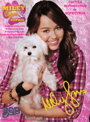 Miley et son Chien