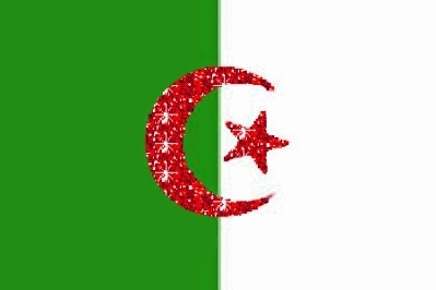 drapeau de l algerie ilumin