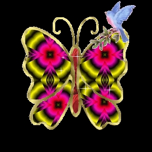 Papillon ferique