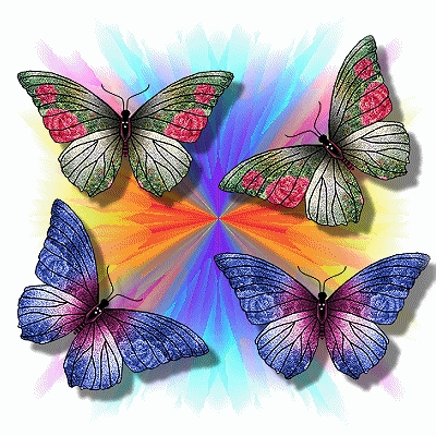 Papillon ferique