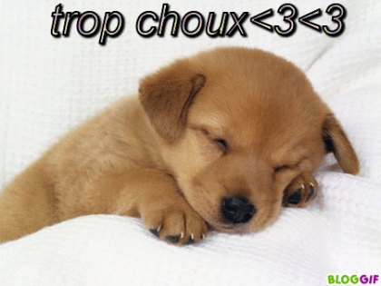 trop chou