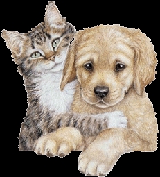 chien et chat