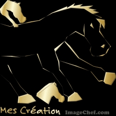 beaux cheval