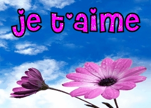 je t'aime