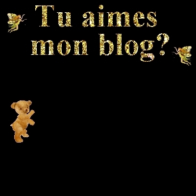 tu aime mon blog?