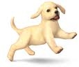 nintendog