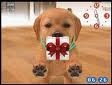 nintendog