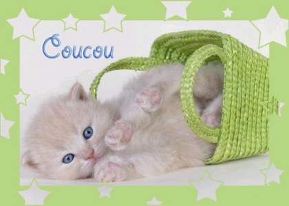 coucou.......