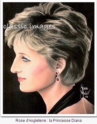 la princesse DIANA