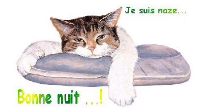 je.....suis.....naz......bonne .....nuit.......