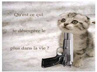 question pour.......vous