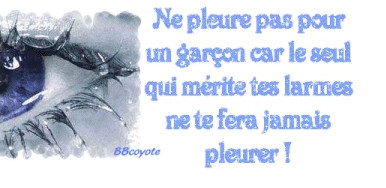 conseil.........