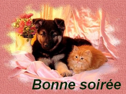 bonne....soire