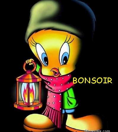 CC.....bonsoir..........