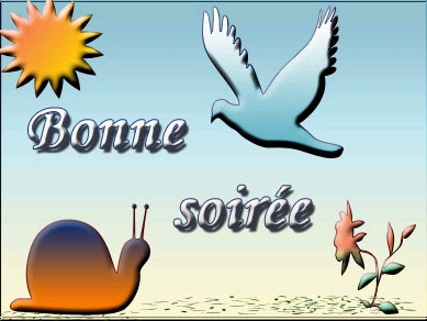 bonne....soire......