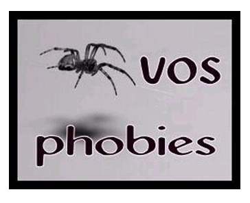 vos phobies ..c'est quoi...