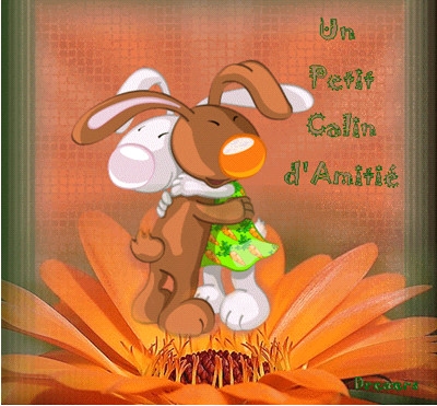 un petit calin d'amiti.....