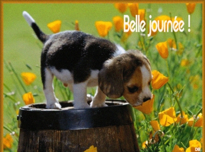 belle...journe......