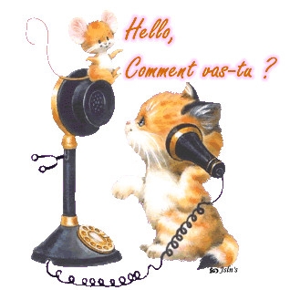 hello....comment....allez vous......