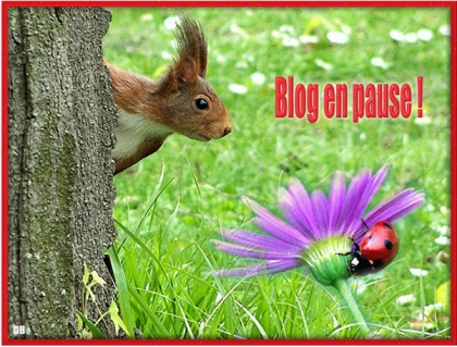 blog en pause......