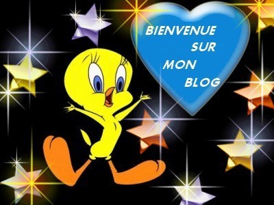 BIENVENUE SUR MON BLOG!!!!!!!