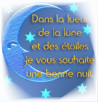 BONNE NUIT POUR VOUS TOUS JE VOUS SOUHAITES UNE BON RVE