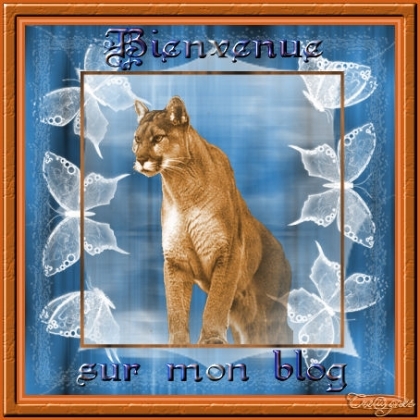 bienvenue dans mon blog