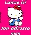 votre adresse msn