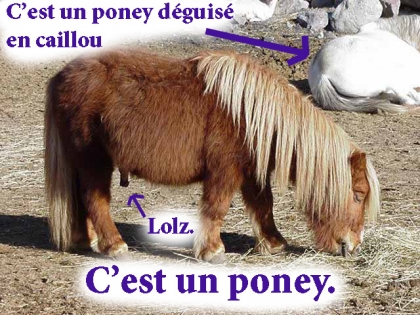 poney