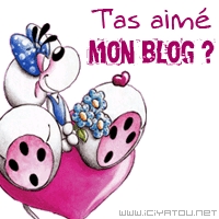 t as aim mon blog lache tes com's 