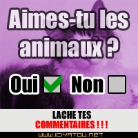 les animaux